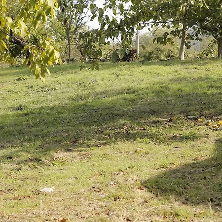 Hypnosapanca Glamping *