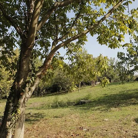 Hypnosapanca Glamping